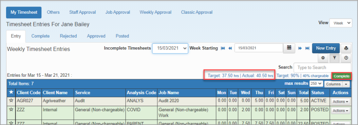 Timesheet Entries page with Target vs Actual hours highlighted.